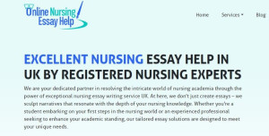 Online Nursing Essay Help